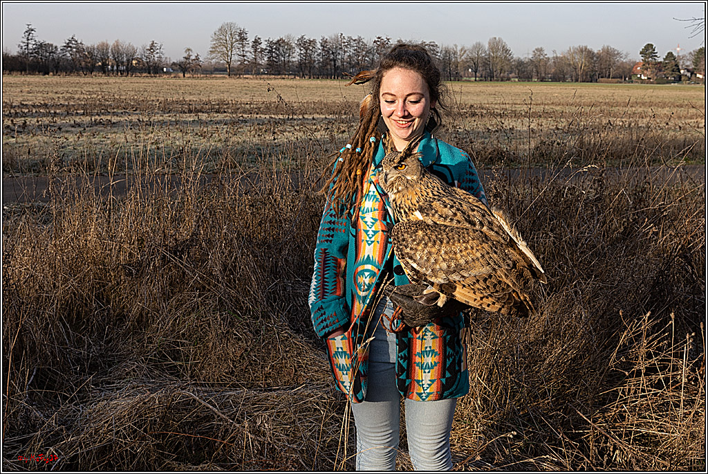 Cheyenne-Halbblut Hunting Wolf in der Falknerei Pierre Schmidt; Gymnich, 09.02.2023